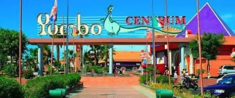 Canoa Palmera Oasis 2