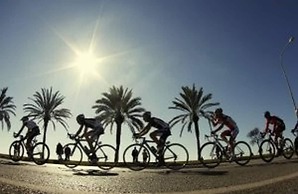 Canoa Palmera Oasis 2