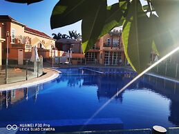 Canoa Palmera Oasis 2