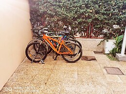 Canoa Palmera Oasis 2