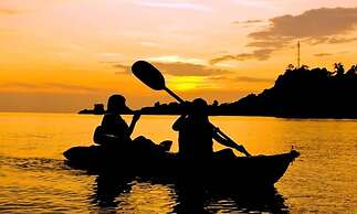 Canoa Palmera Oasis 2