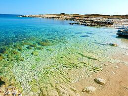 Apartment Andrea L Pula