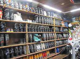 Snowy Dream Study Area Nevada