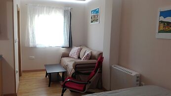 Snowy Dream Study Area Nevada