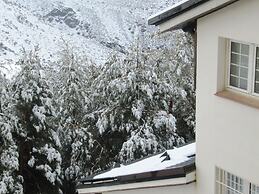 Snowy Dream Study Area Nevada