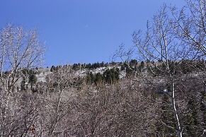 37 Mountain Laurel Drive 2br 2 Bedroom Home by Redawning