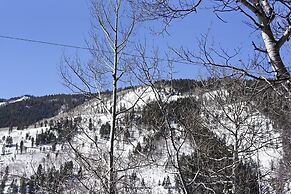 37 Mountain Laurel Drive 2br 2 Bedroom Home by Redawning