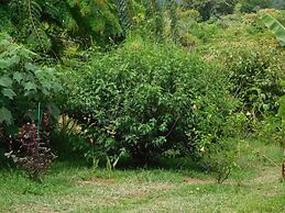 Hostal Casa Las Lajas - Hostel