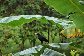 Hostal Casa Las Lajas - Hostel