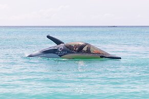 Siyam World Maldives - 24-Hour Premium All-inclusive with Free Transfe