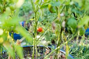 Palamutbükü Deniz Apart Otel