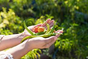 Palamutbükü Deniz Apart Otel