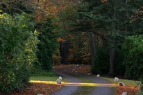 Bunchrew House Hotel