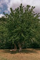 Uphill Glavanovic Villa