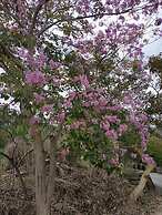 Macvano Accommodation Camping