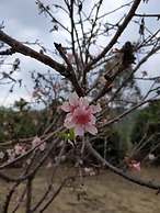 Macvano Accommodation Camping