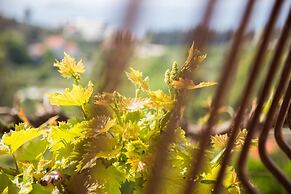 Sea View Apartments Pink & Floyd