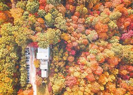 Treetop Retreat