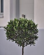 Quartano Luxury Cycladic Residence