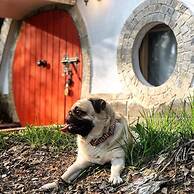 Hobbitland Eco Hotel