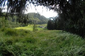Hinterkellaubauer