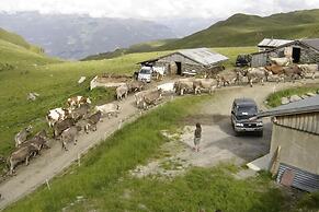 Breierhof Zell im Zillertal Tirol