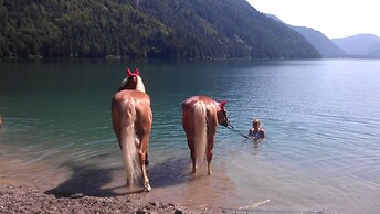 Ferienhof Obergasser & Pension Bergblick