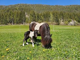 Ferienhof Obergasser & Pension Bergblick