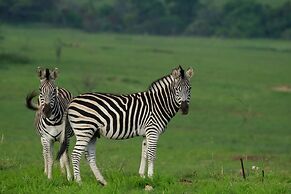 Zulu Rock Lodge - Babanango Game Reserve