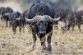 Zulu Rock Lodge - Babanango Game Reserve