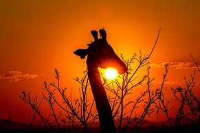 Zulu Rock Lodge - Babanango Game Reserve