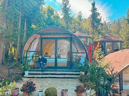 Plum Homestay - Hostel