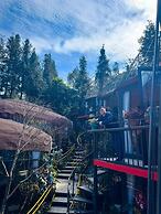 Plum Homestay - Hostel