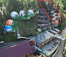 Plum Homestay - Hostel