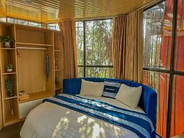 Plum Homestay - Hostel