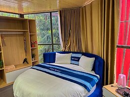 Plum Homestay - Hostel