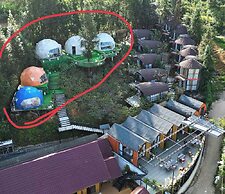 Plum Homestay - Hostel