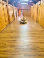 Plum Homestay - Hostel