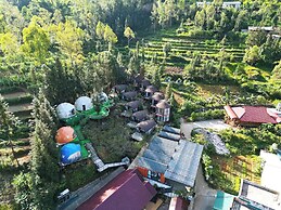 Plum Homestay - Hostel