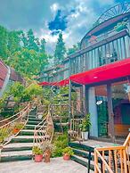 Plum Homestay - Hostel