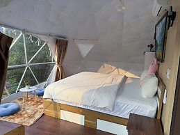 Plum Homestay - Hostel
