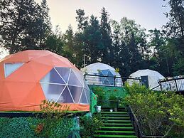 Plum Homestay - Hostel