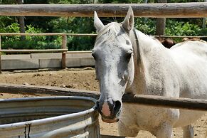 Bill Cody Ranch