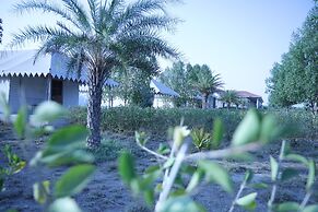 Jawai Bera Leopard Camp