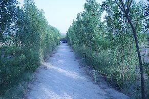 Jawai Bera Leopard Camp