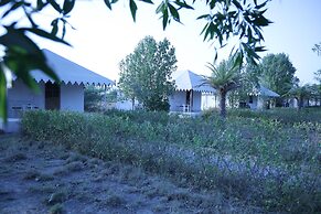 Jawai Bera Leopard Camp