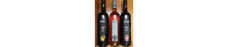 Wine-Farm La Source