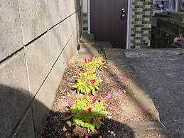 Oyado Kinokuniya Junin Machi