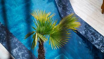 Avlu Alacati Butik Otel