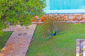 HACIENDA HISTÓRICA Blanca Flor Del Siglo XVI